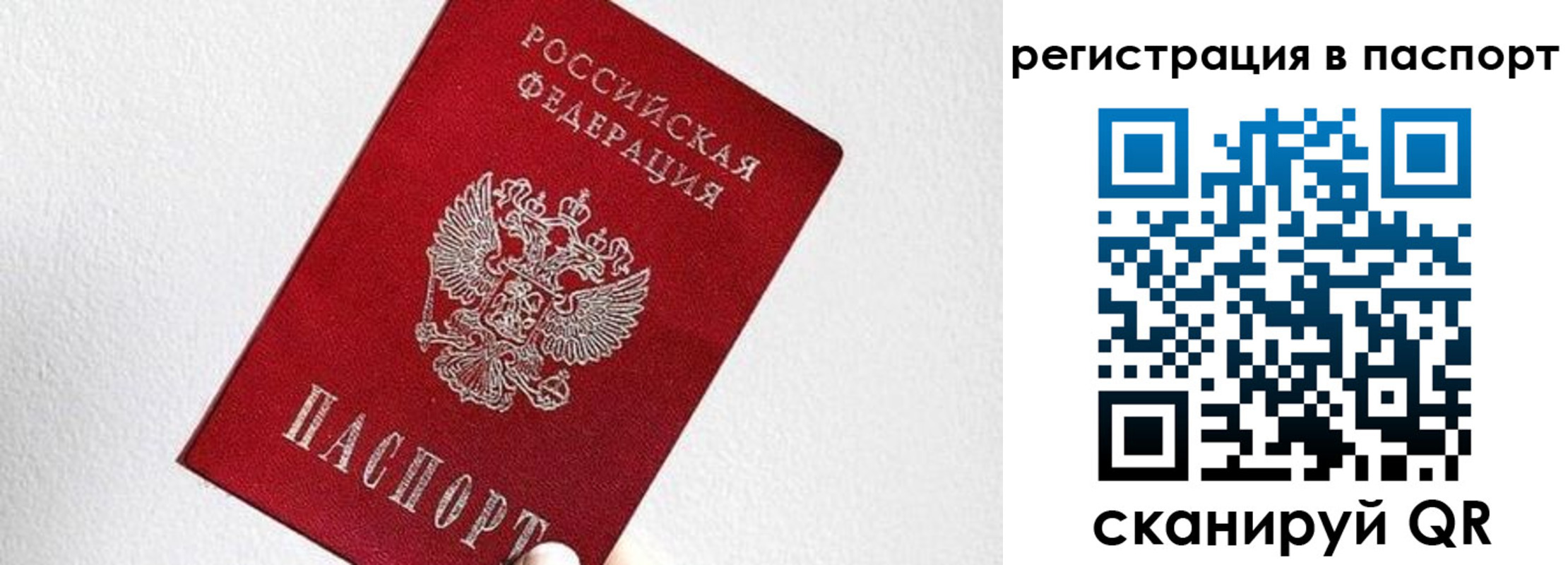 прописка гарантия в Рязани